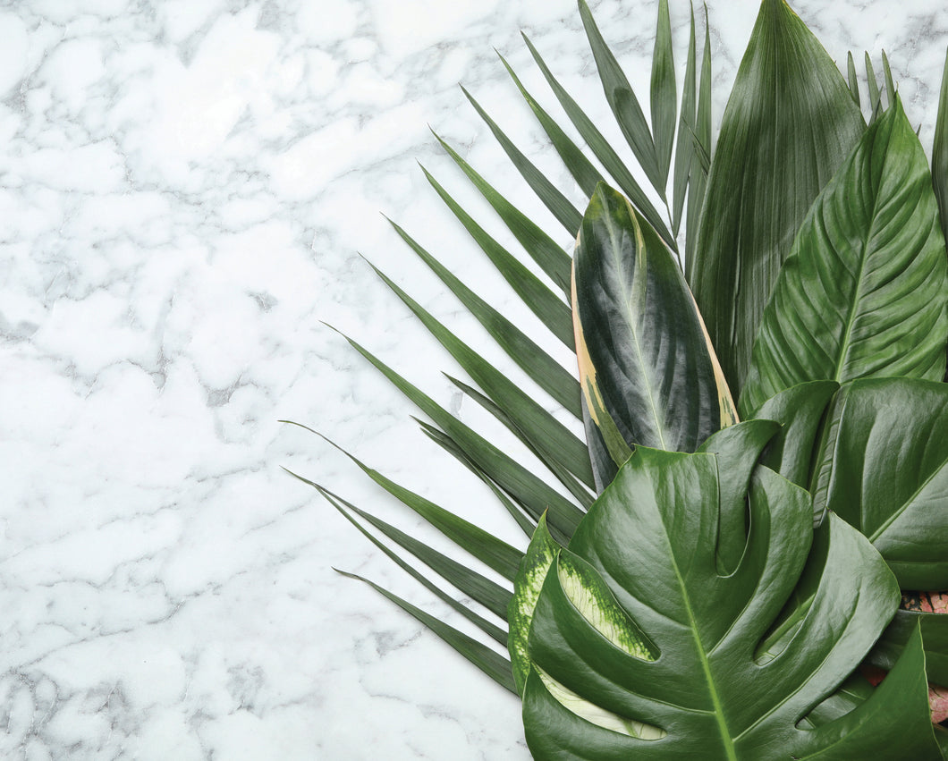 MARBLE GREEN LEAVES